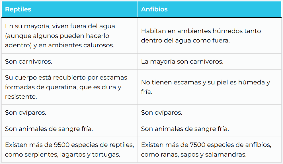 Cuadro comparativo tabular